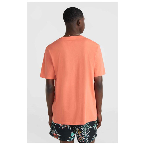 O'neill Ανδρική κοντομάνικη μπλούζα Mix & Match Palm T-Shirt